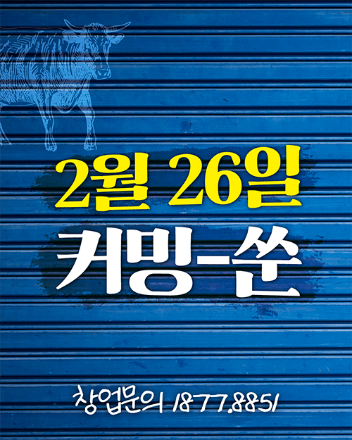 피드