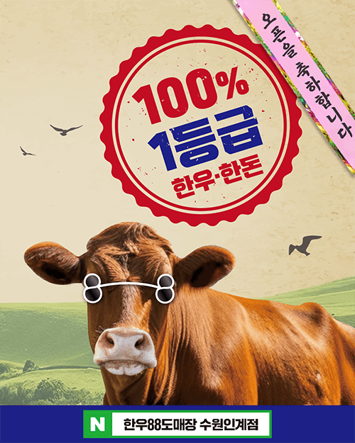 피드