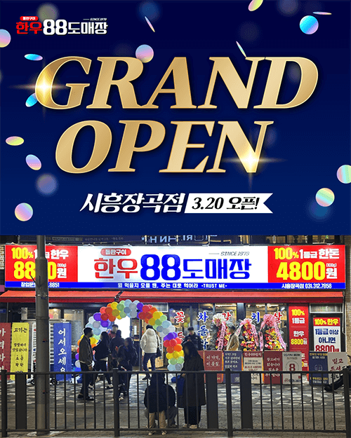 피드