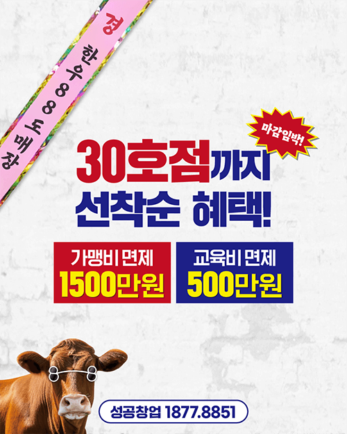 피드