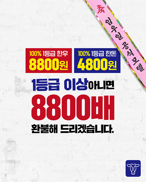 피드